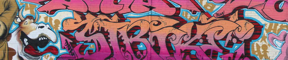photographie_murale_graffiti_artiste_graffiteur