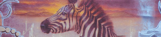 photographie_murale_graffiti_artiste_graffiteur